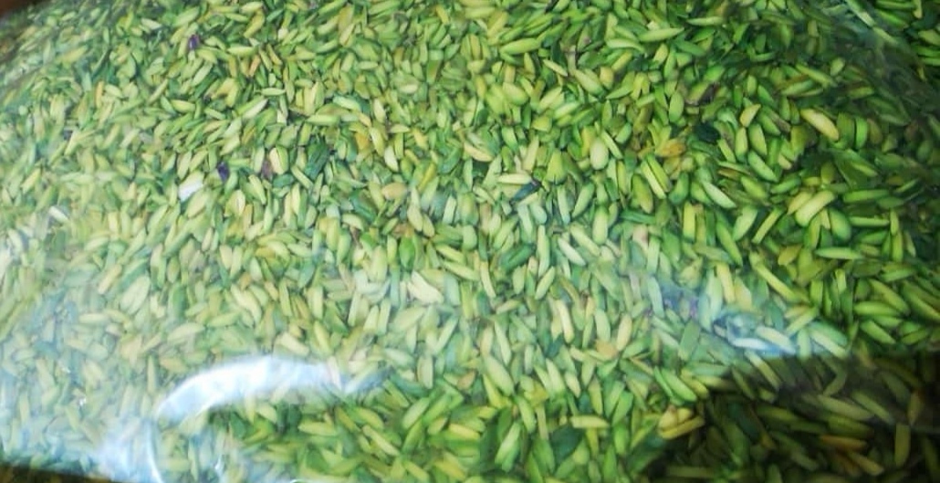 Premium quality sliced Iranian green pistachio