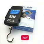Portable Scale